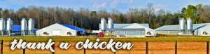 Thank a chicken house